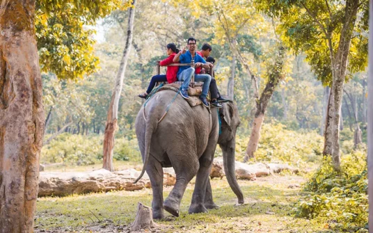 Christmas And New Year Celebrations in Nepal