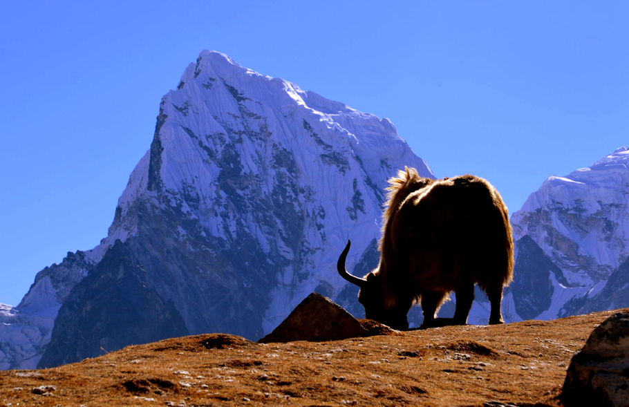 Best Season for the Everest Base Camp Trek