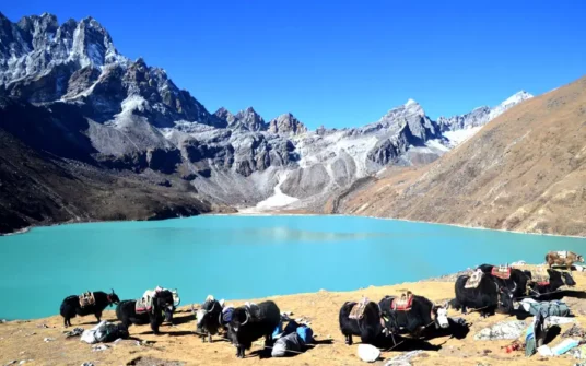 Kyajo Ri Peak Climbing