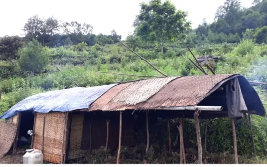 Everest Cultural Trek