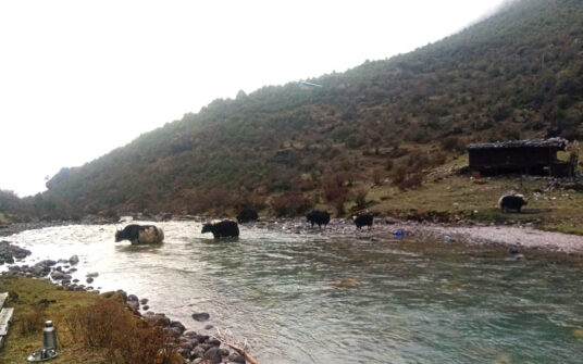 Kanchenjunga Round with Lumba Sumba Pass Trek