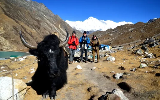 EBC Gokyo Chola Pass Trek 15 Days