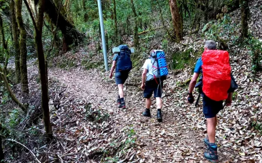 18 days Pachermo Peak climbing