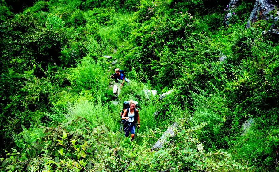 monsoon trekking in nepa