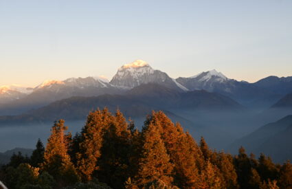 The Beauty of Ghorepani Poon Hill