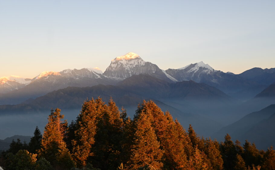 The Beauty of Ghorepani Poon Hill