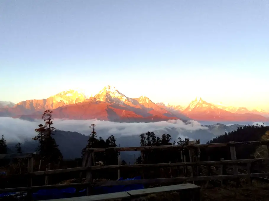 Christmas And New Year Celebrations in Nepal
