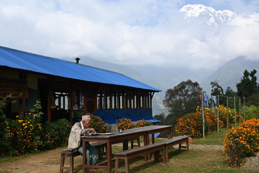 Mardi Himal Trek 12 Days