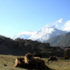 Short Trekking in Nepal