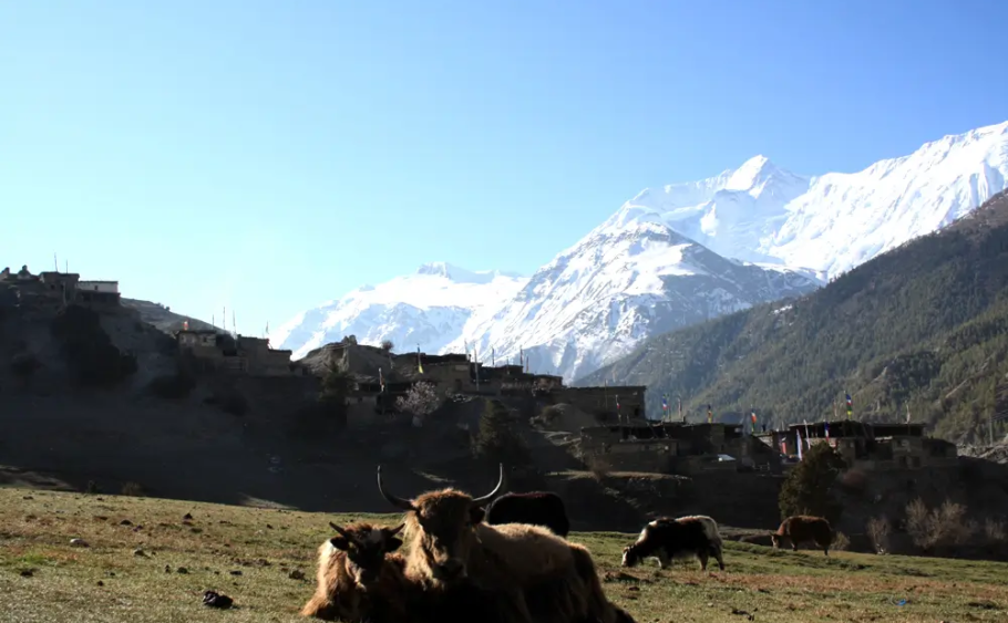 Short Trekking in Nepal