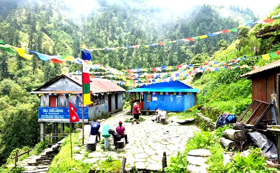 Best Time to Khopra Danda Trek