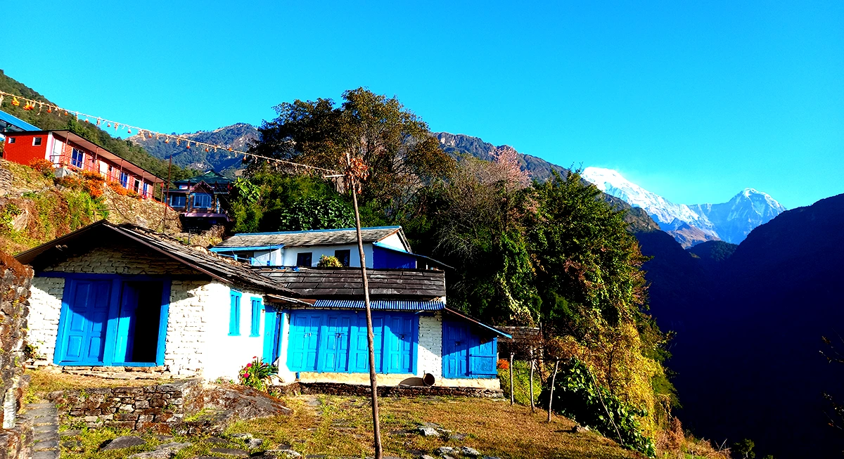 Tea House Trek in Nepal - The Ultimate Trekker's Guide