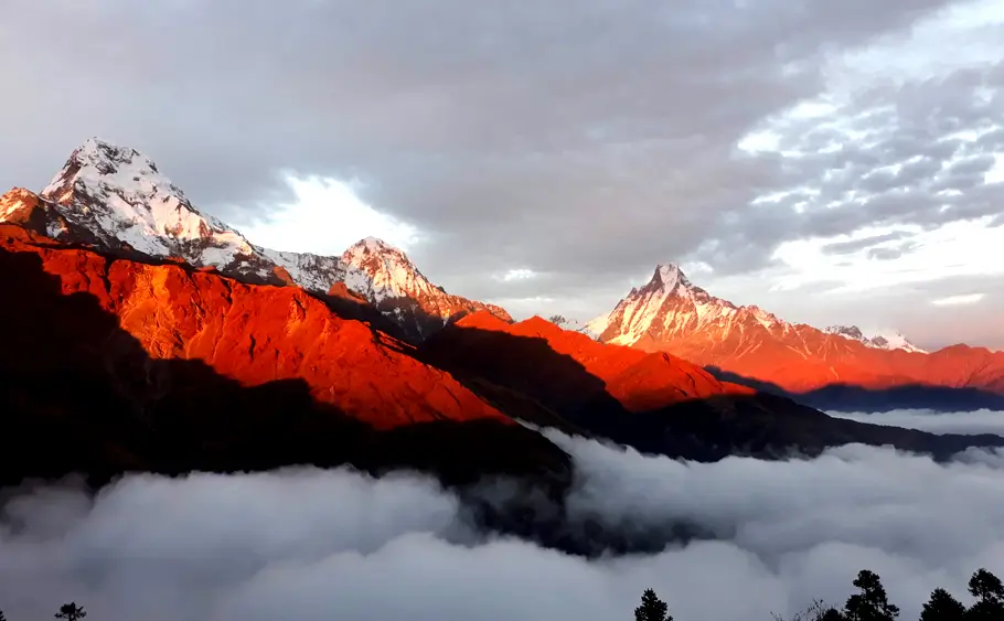 Machhapuchhre Model Trekking