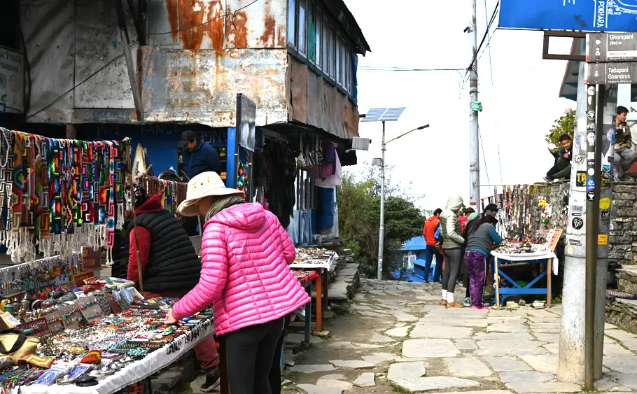 Short Poon Hill Trek