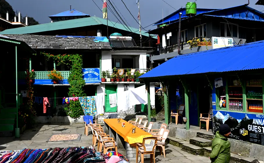 Short Poon Hill Trek