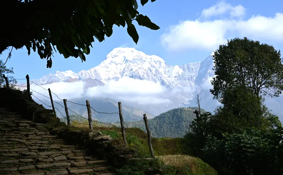 Short Poon Hill Trek