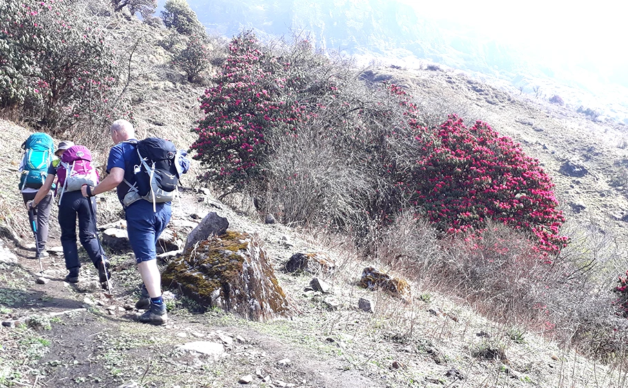 Khopra Trek Cost